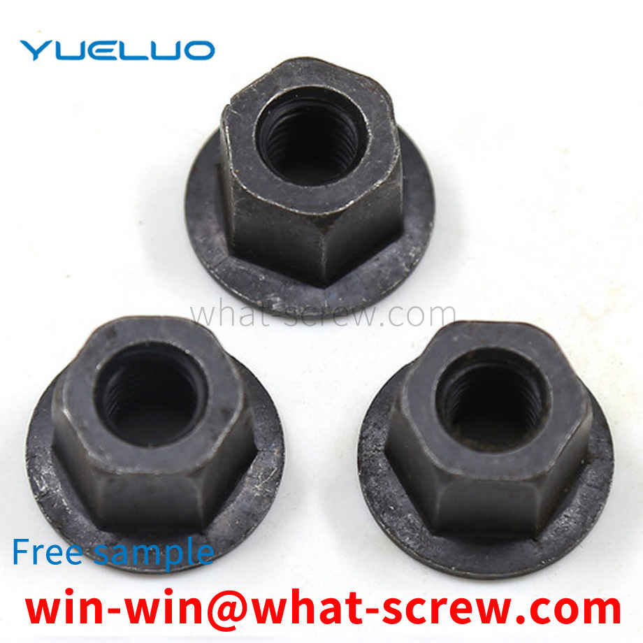 Customized thickened flange with gasket nut